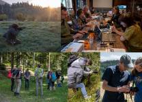 Pierre RICH - Pierre Rich