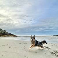 Sabine ZAHNER - L'EFFET POP !